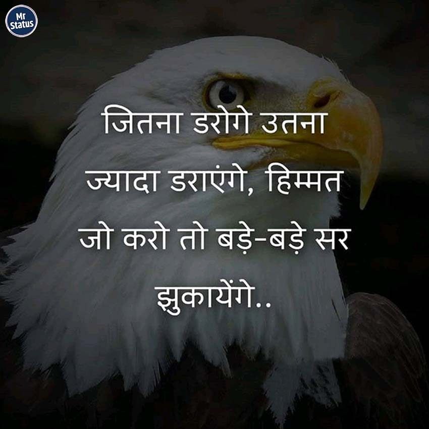 Download free status image